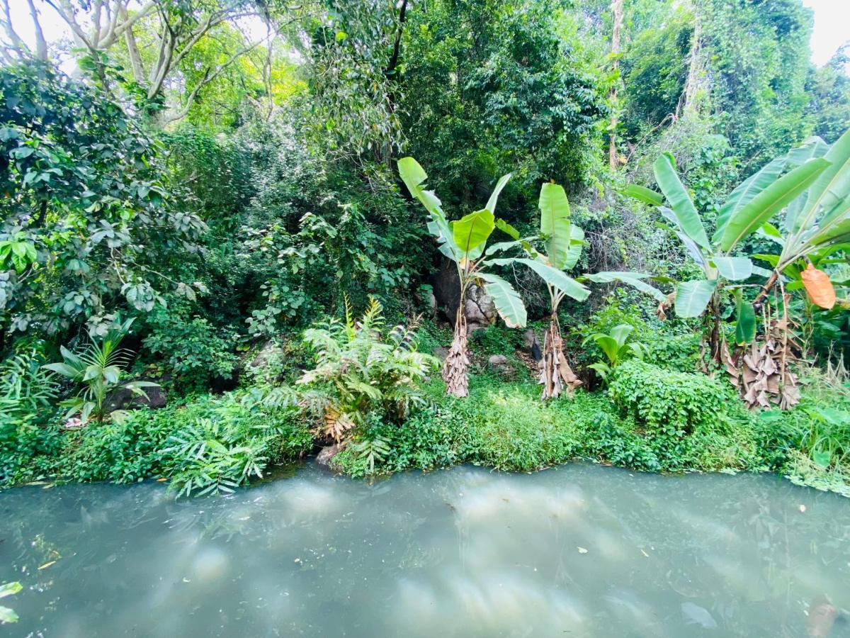 Nature Villa Unawatuna Galketiya Exterior foto